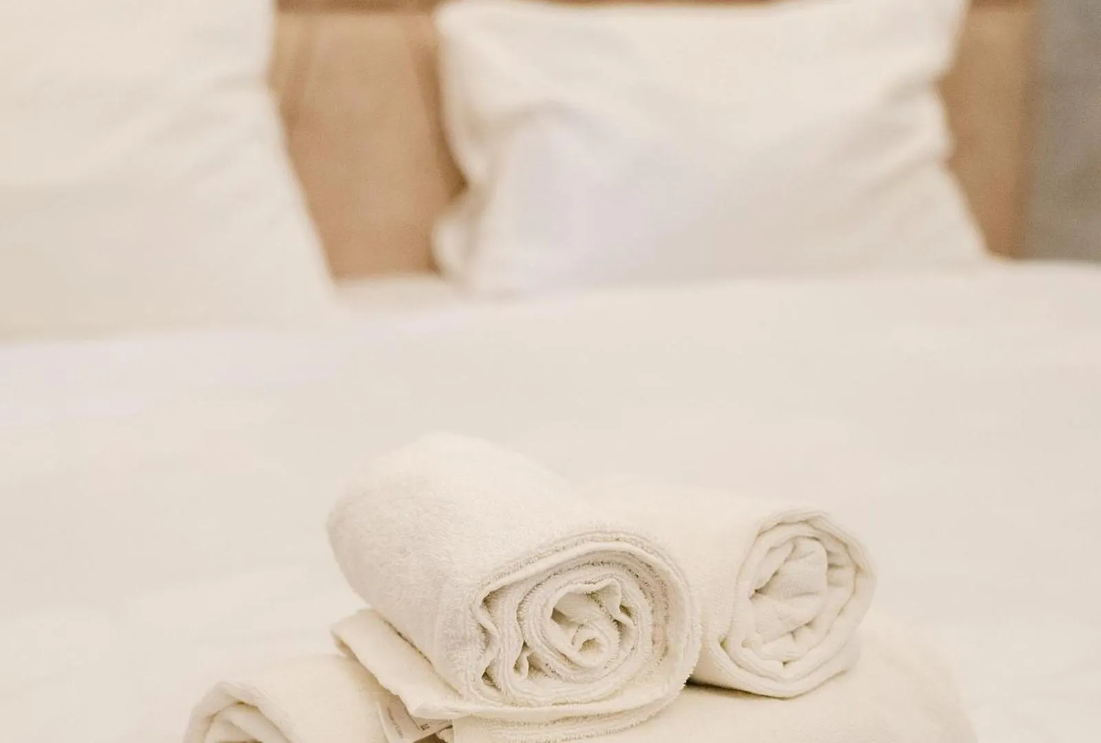 Olive Garden Baku Hotel 4*,